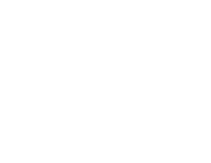 Trybus Group Logo